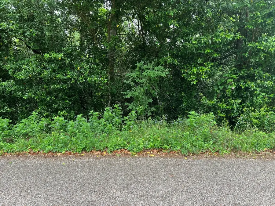 000 Rollingwood Loop, Conroe, TX 77303 - #3