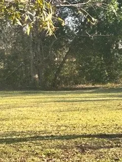 00 County Road 161, Liberty Dayton, TX 77582 - Image #1