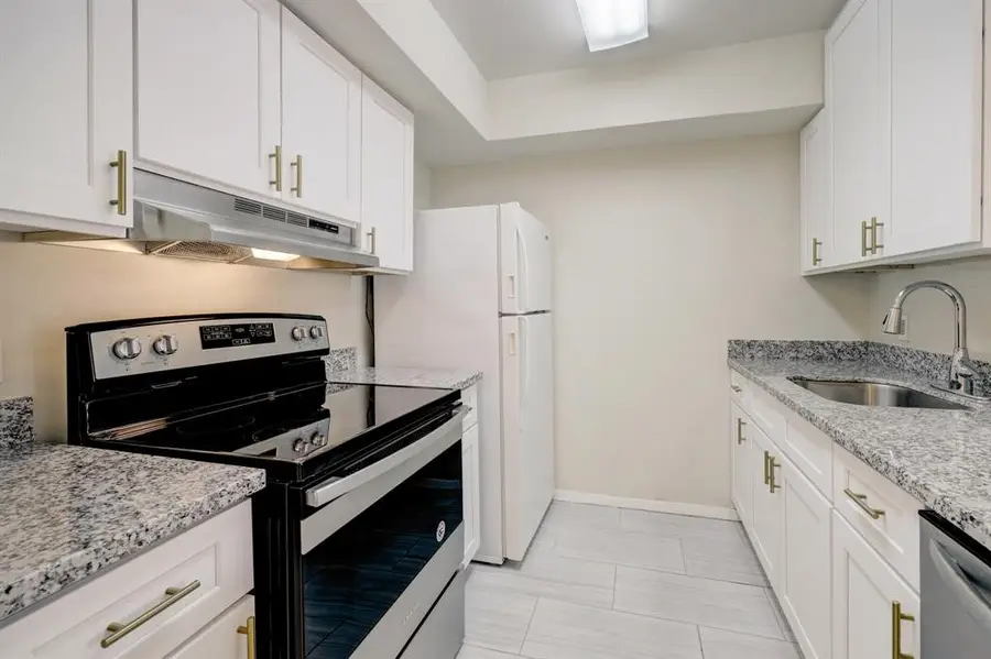 4645 Wild Indigo Street #373, Houston, TX 77027 - #2