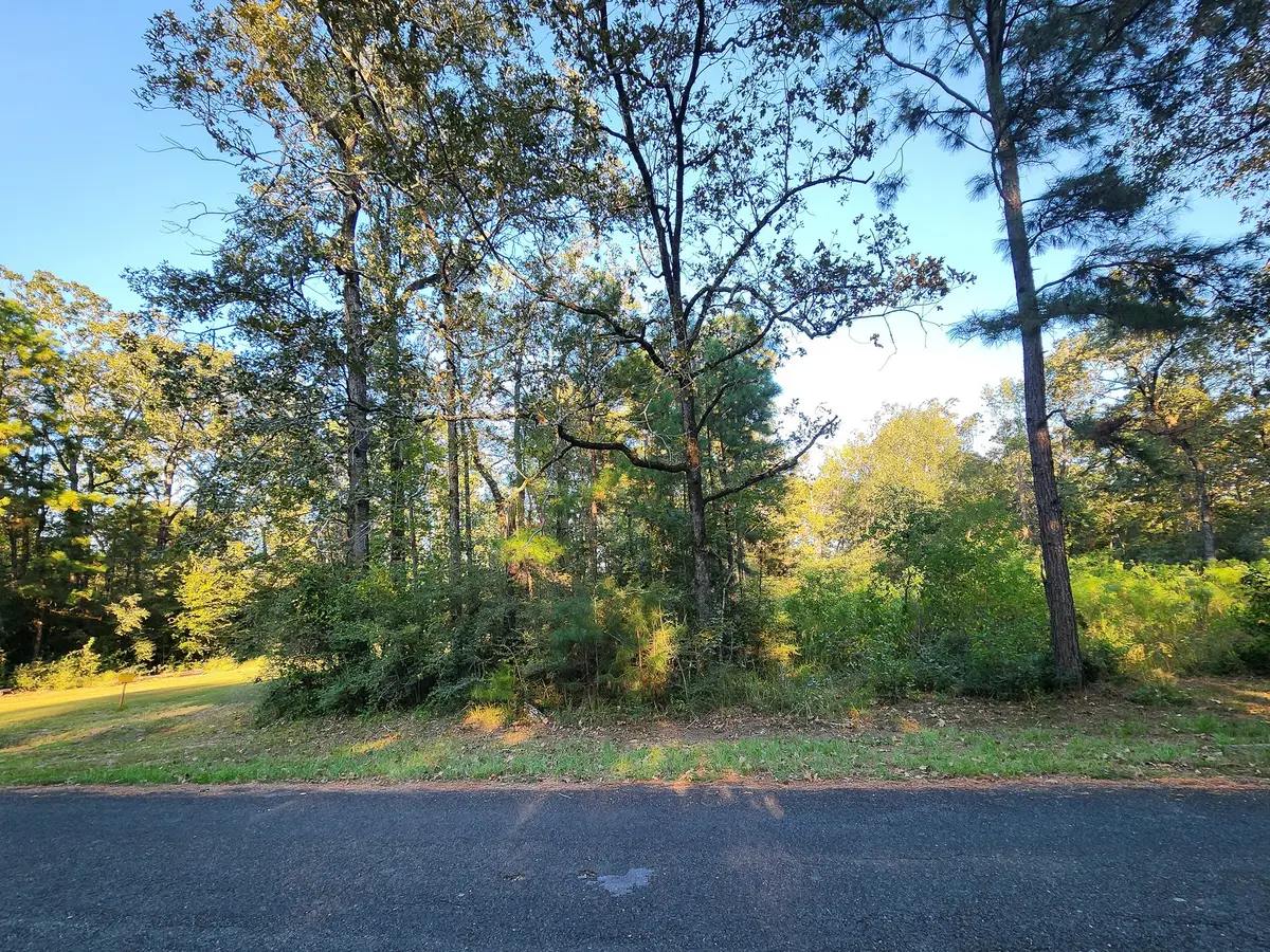 0 Hackberry Drive, Onalaska, TX 77360 - #1