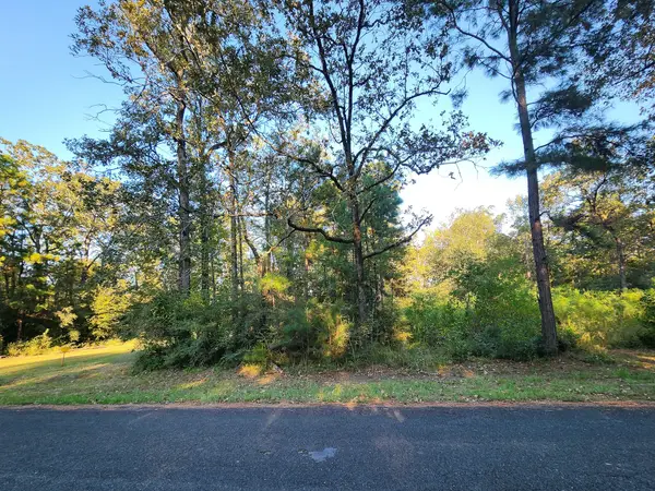 0 Hackberry Drive, Onalaska, TX 77360