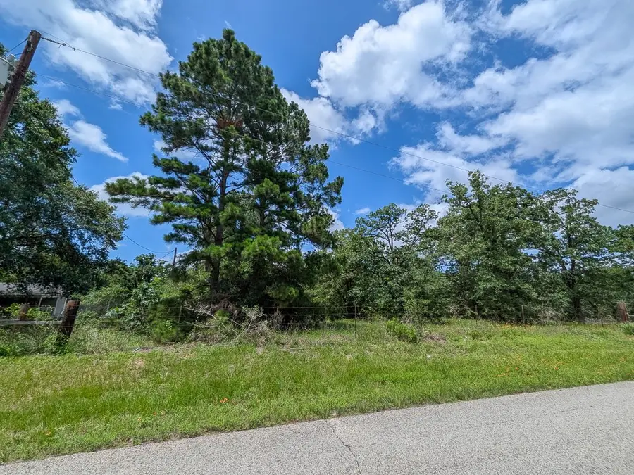 6041 County Road 302, Navasota, TX 77868 - #2