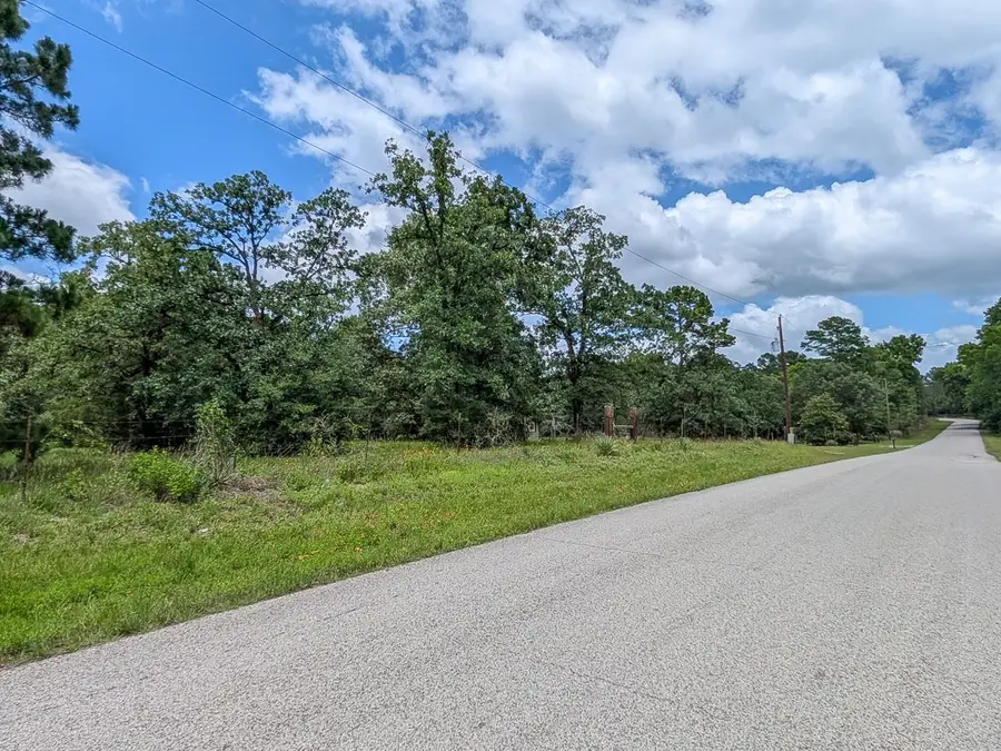 6041 County Road 302, Navasota, TX 77868 - #3