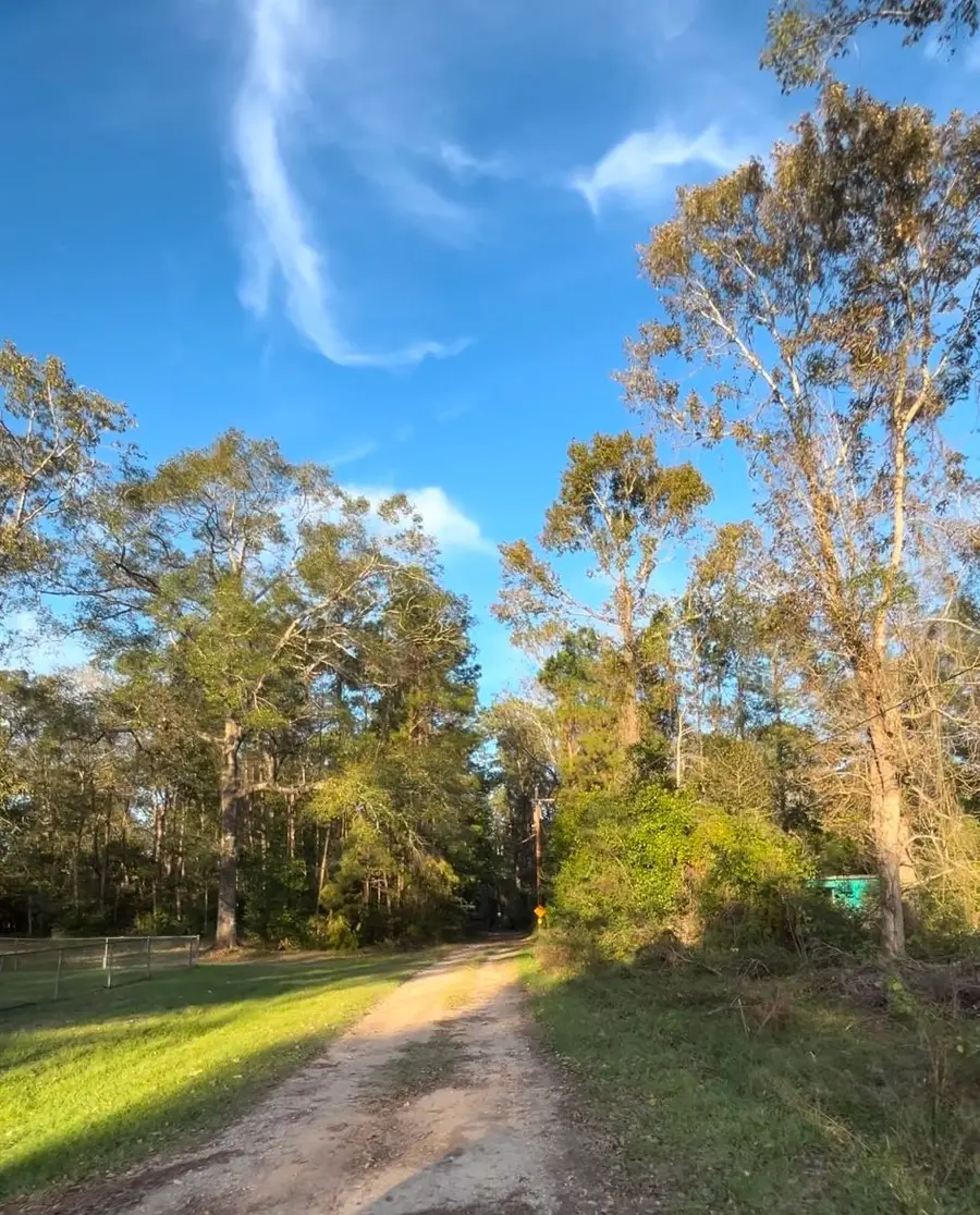 3430 Harden Holly Road, Porter, TX 77365 - Image #2