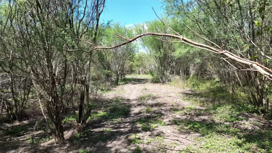 14100 Fm 1155 E, Washington, TX 77880 - #3