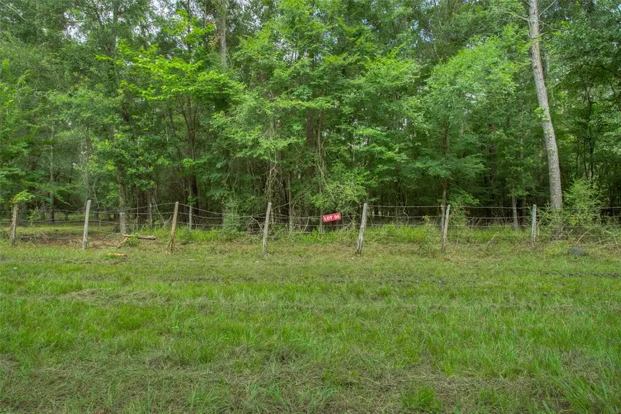 Lot 5 Utley Road, Huntsville, TX 77320 - #3