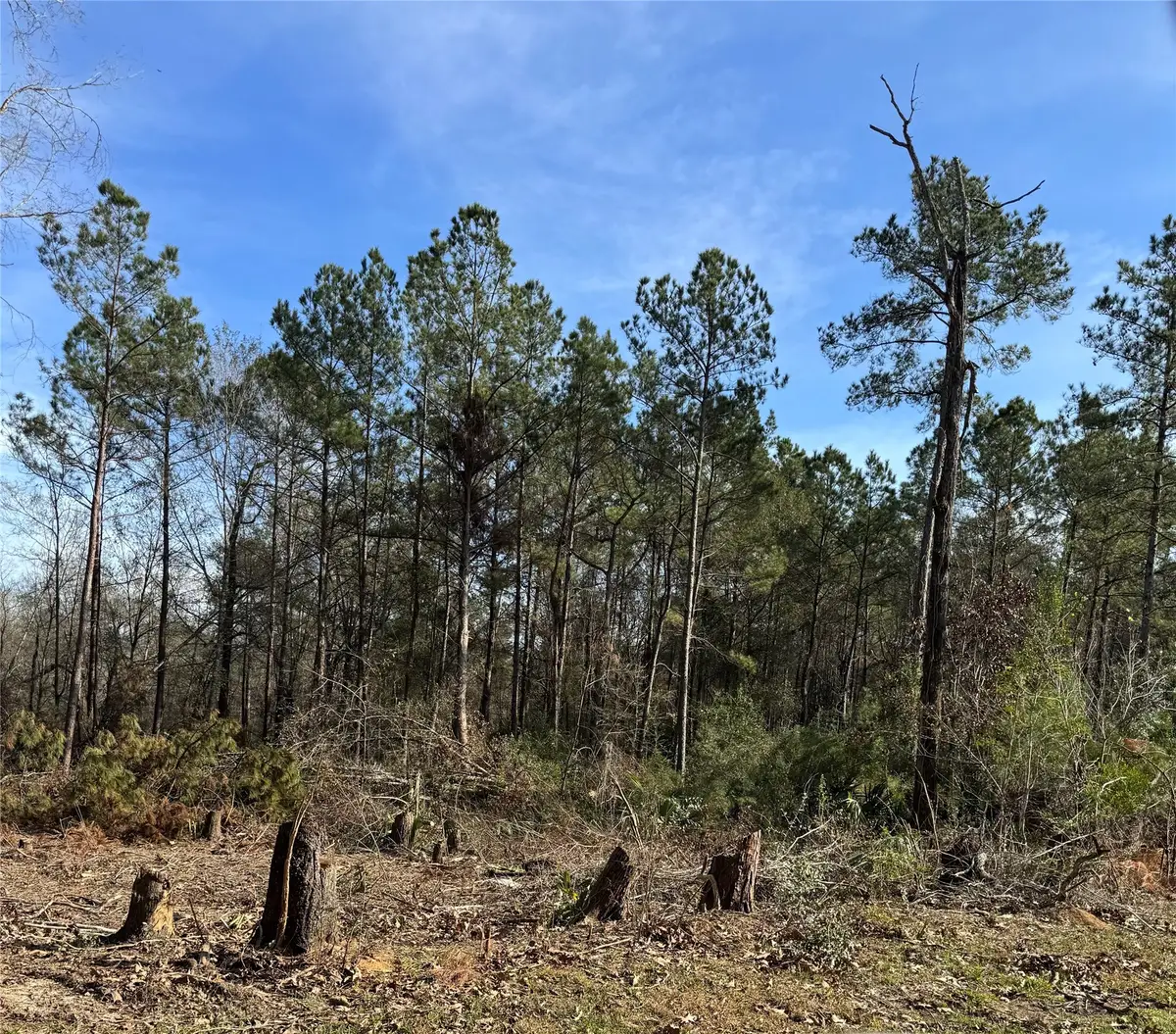 5850 Alfred Oaks Drive Drive, Beaumont, TX 77713 - #1