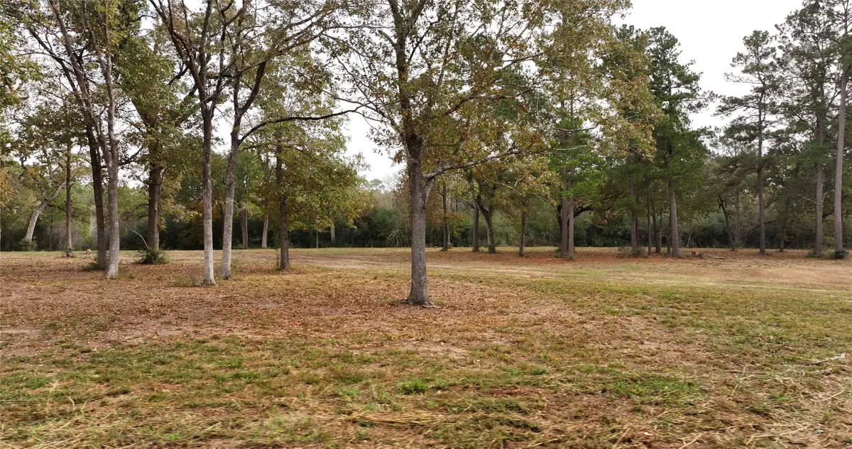 5.3 AC tbd Spring Branch Rd, Montgomery, TX 77316 - Image #1