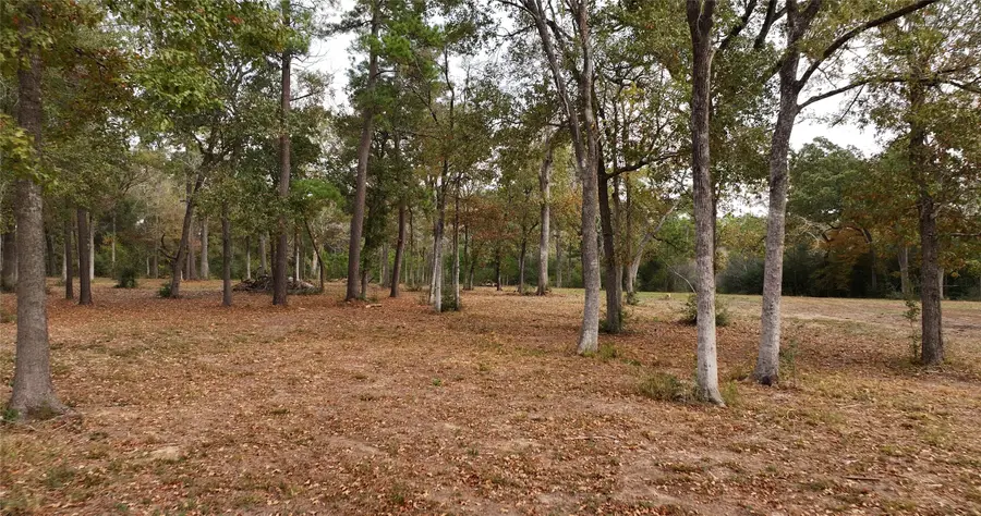 5.3 AC tbd Spring Branch Rd, Montgomery, TX 77316 - Image #3