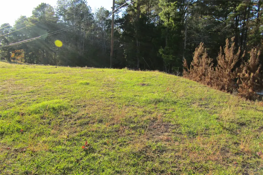 TBD Hwy 190 East E, Huntsville, TX 77340 - #2