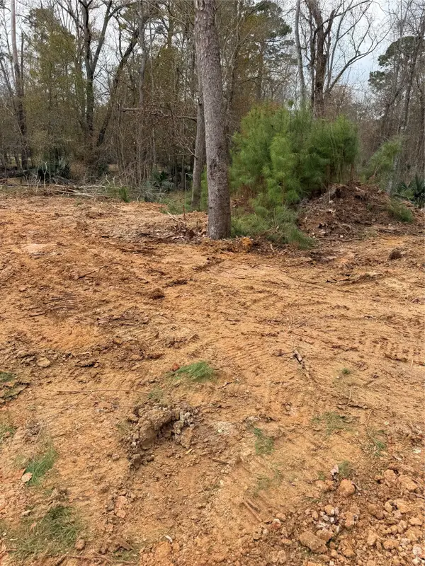 524 White Oak Drive, Houston, TX 77336