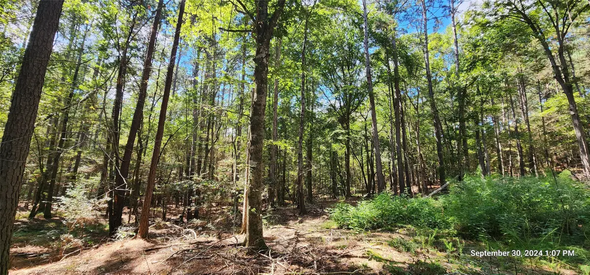 TBD County Road 405, San Augustine, TX 75972 - #1