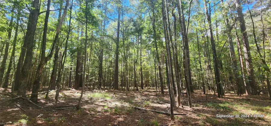 TBD County Road 405, San Augustine, TX 75972 - #2