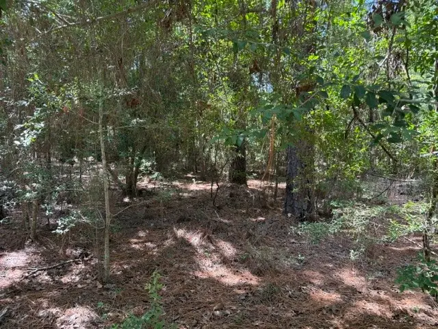 0 Twigwood Drive, Brookeland, TX 75931 - #1