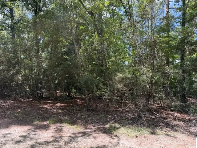0 Twigwood Drive, Brookeland, TX 75931 - #2