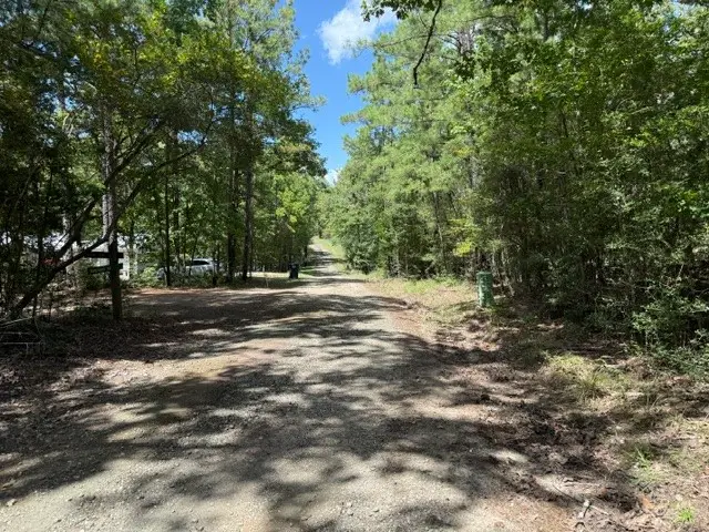 0 Twigwood Drive, Brookeland, TX 75931 - #3