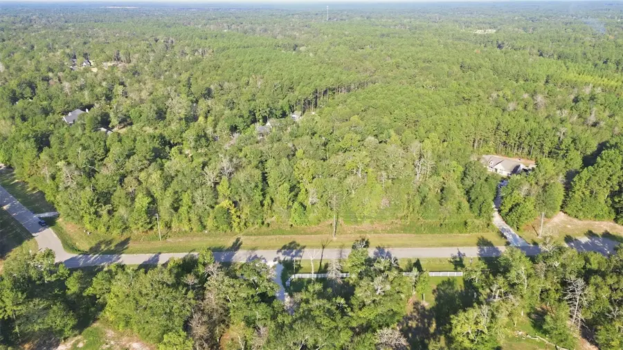 21099 Angus Drive, Cleveland, TX 77328 - #2