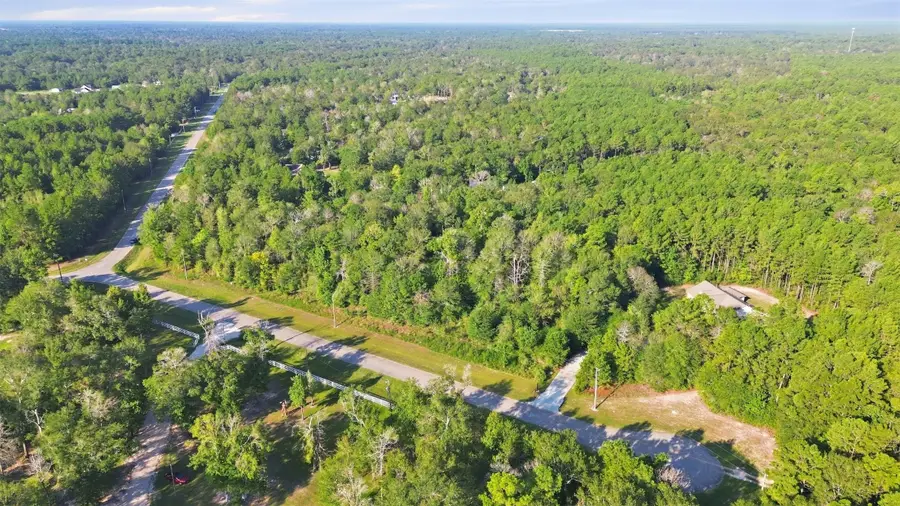 21099 Angus Drive, Cleveland, TX 77328 - #3