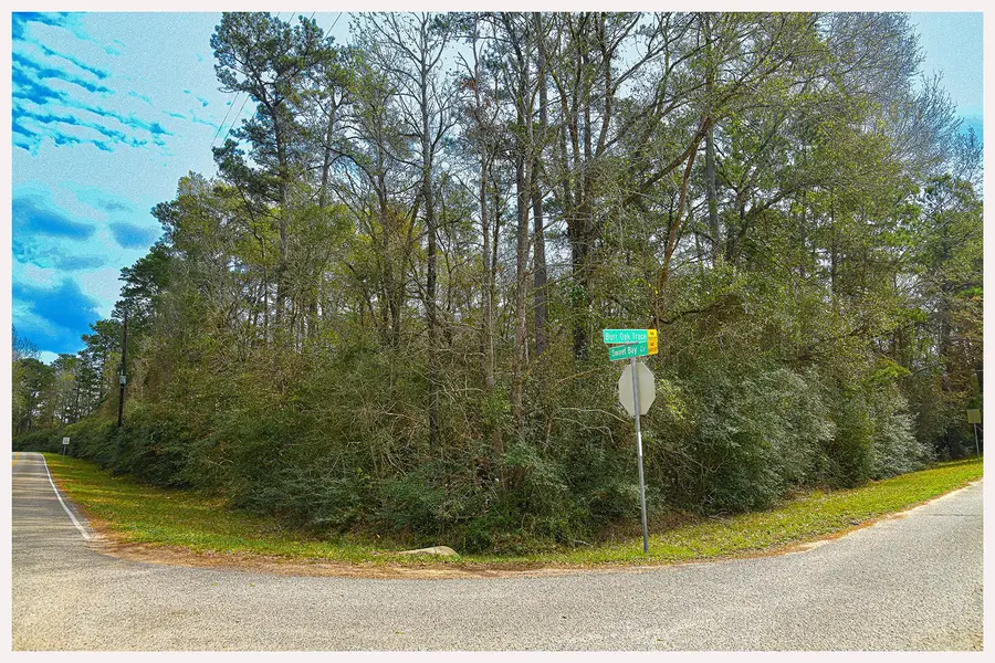 7318 Burr Oak Trace, Magnolia, TX 77354 - #2