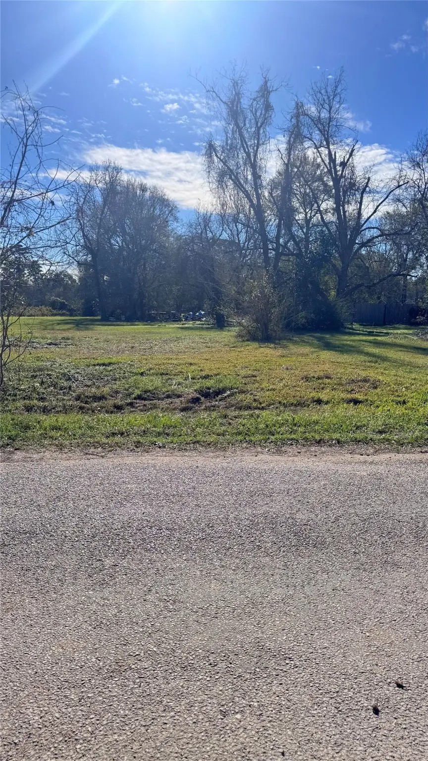 709 E Young Street, Dayton, TX 77535 - #3