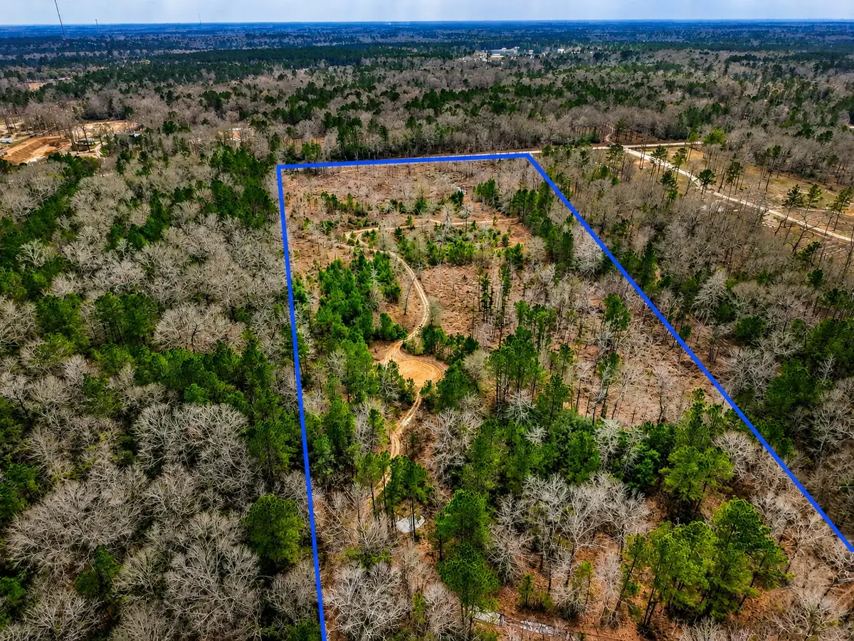21251 Doru Drive, Cleveland, TX 77328 - #1