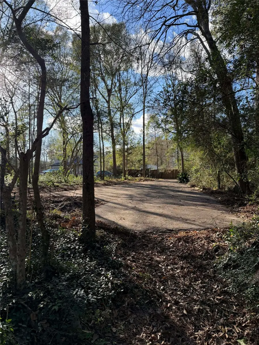 15734 Holly Drive, Montgomery, TX 77356 - #3