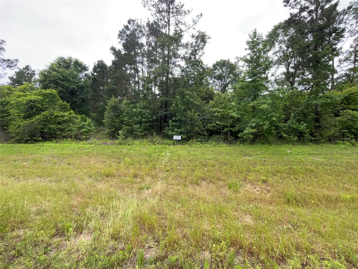 15841 Ridge Rock Road, Willis, TX 77378 - #1