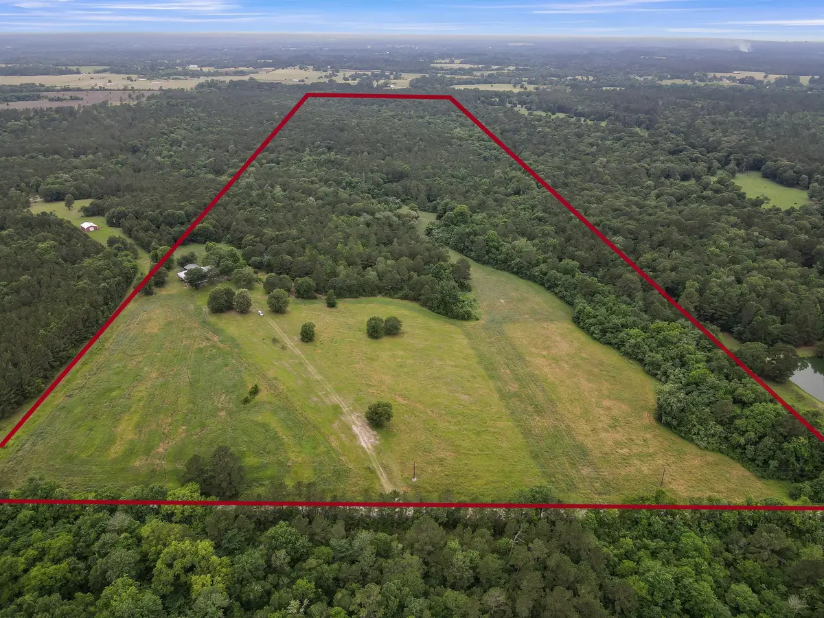 276 Walker Loop, Huntsville, TX 77340 - #1