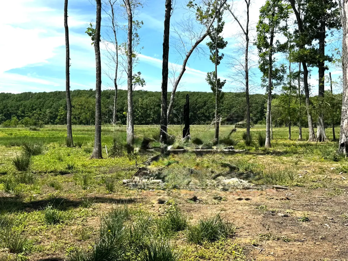 3400 Fm 1127, Shepherd, TX 77371 - #1