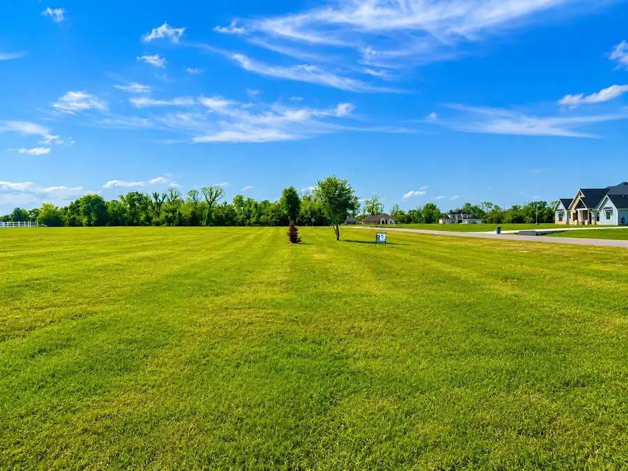 443 Lakeview Drive, Angleton, TX 77515 - #3