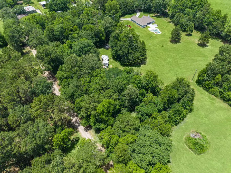17260 Dutch Road, New Waverly, TX 77358 - #2