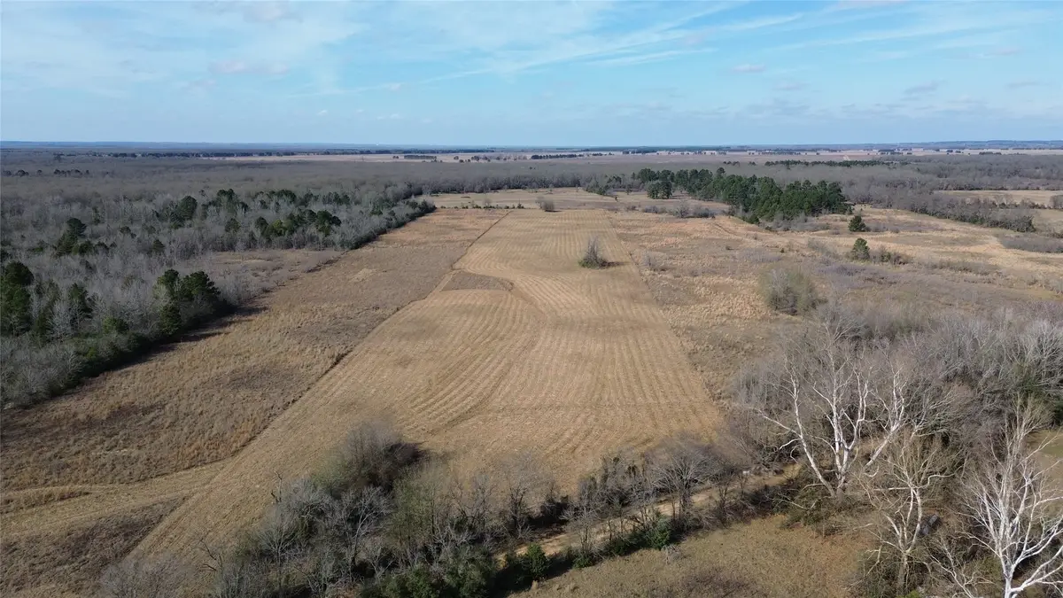 TBD Cr 2255 Lane, Grapeland, TX 75844 - Image #1