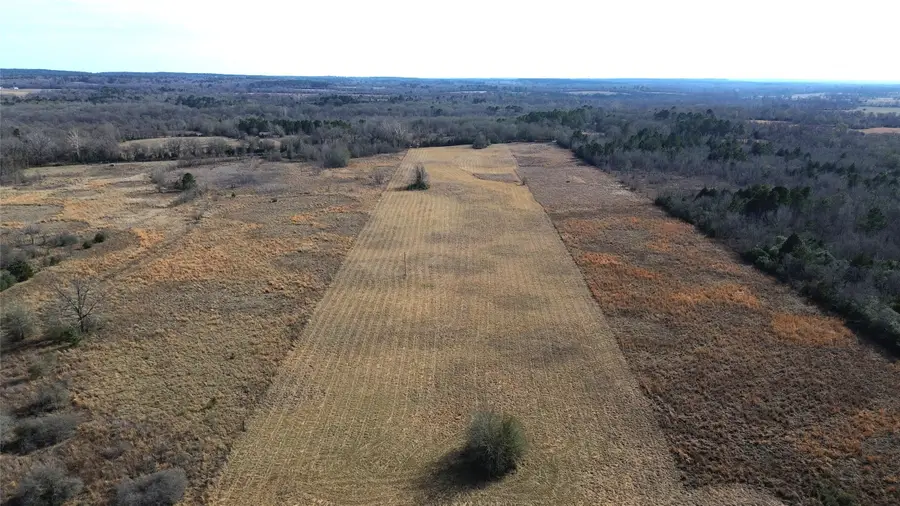 TBD Cr 2255 Lane, Grapeland, TX 75844 - Image #2