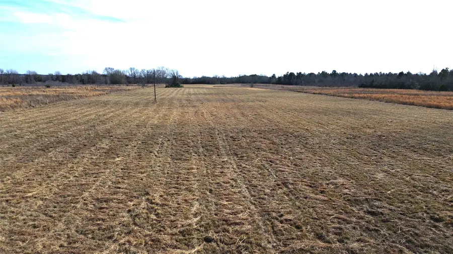 TBD Cr 2255 Lane, Grapeland, TX 75844 - Image #3