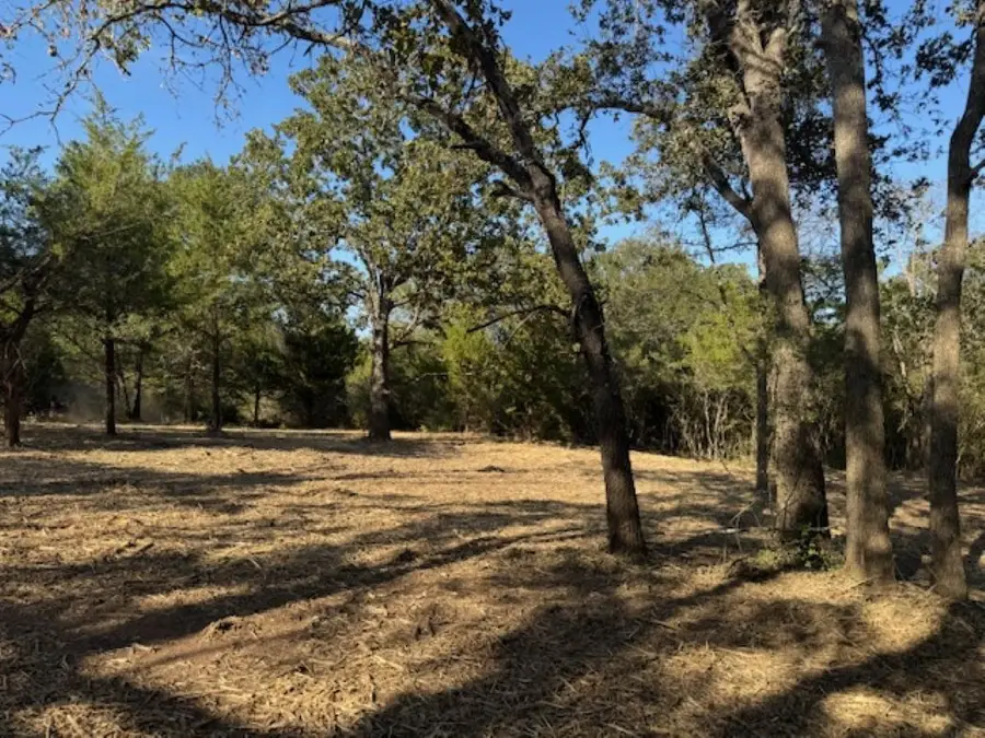 TBD Sweed Road, Washington, TX 77880 - Image #3