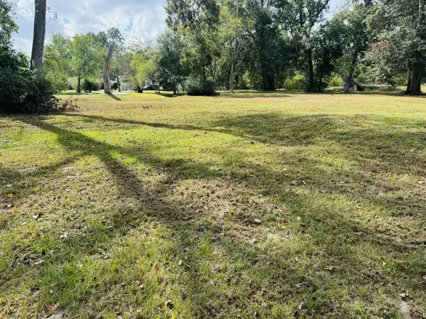 TBD Daisy, Dayton, TX 77535
