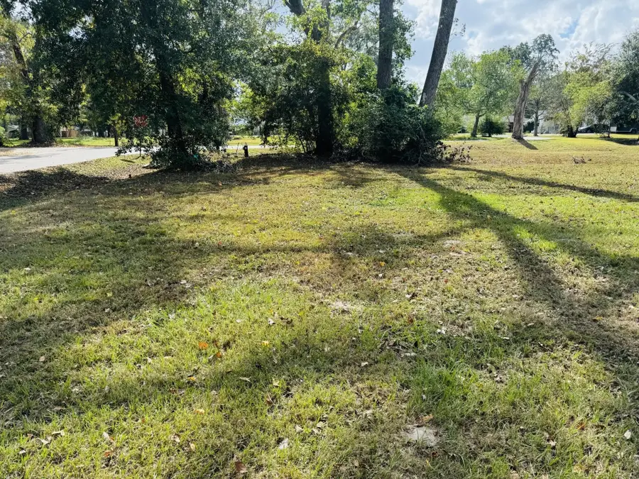 TBD Daisy, Dayton, TX 77535 - #2