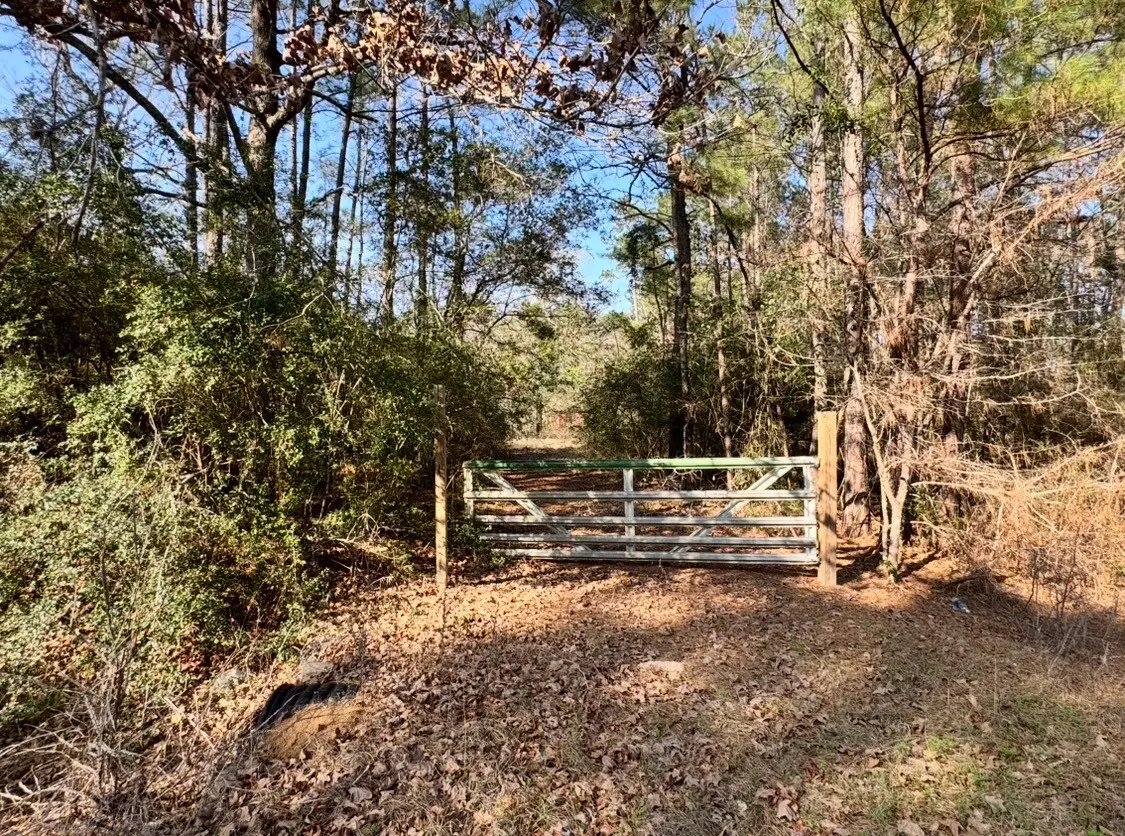 24728 Shady Oaks Blvd, Montgomery, TX 77316 - #1