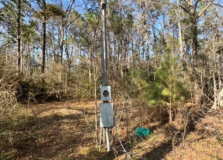 24728 Shady Oaks Blvd, Montgomery, TX 77316 - #2