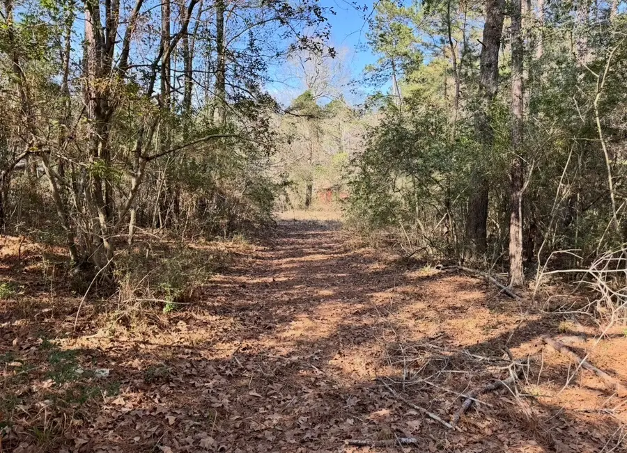 24728 Shady Oaks Blvd, Montgomery, TX 77316 - #3