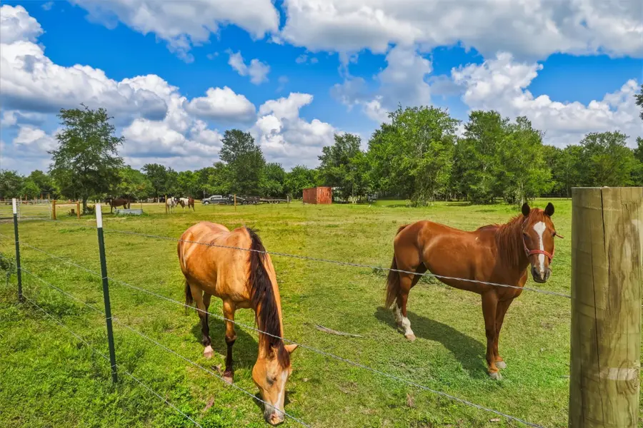 2325 Skrivanek Road, Sealy, TX 77474 - #2