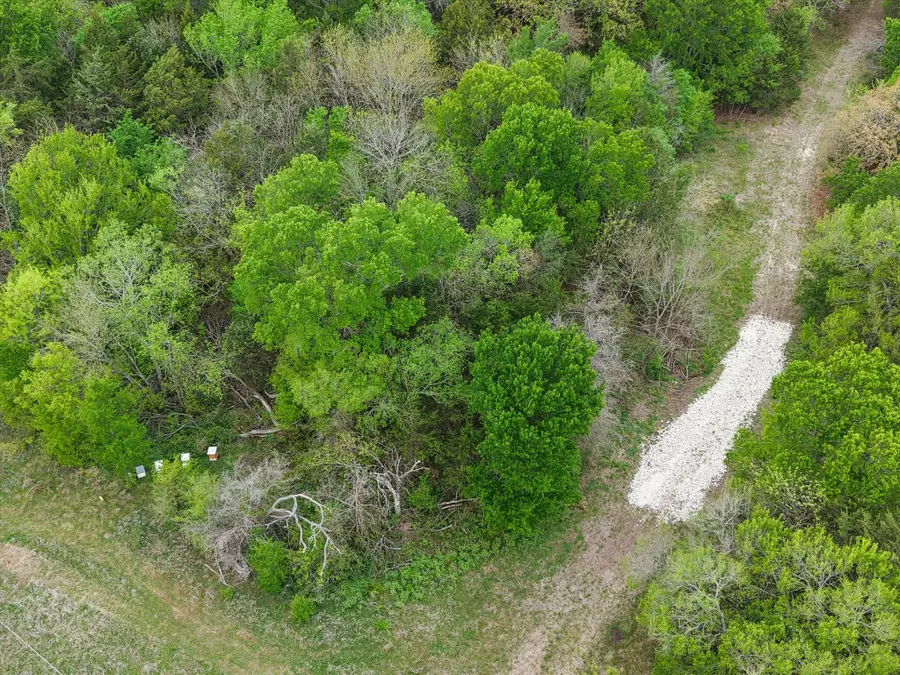 TBD Fm 709 S, Purdon, TX 76679 - #2
