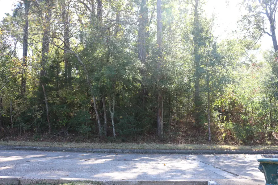 TBD Lake Oaks Boulevard, Coldspring, TX 77331 - Image #2