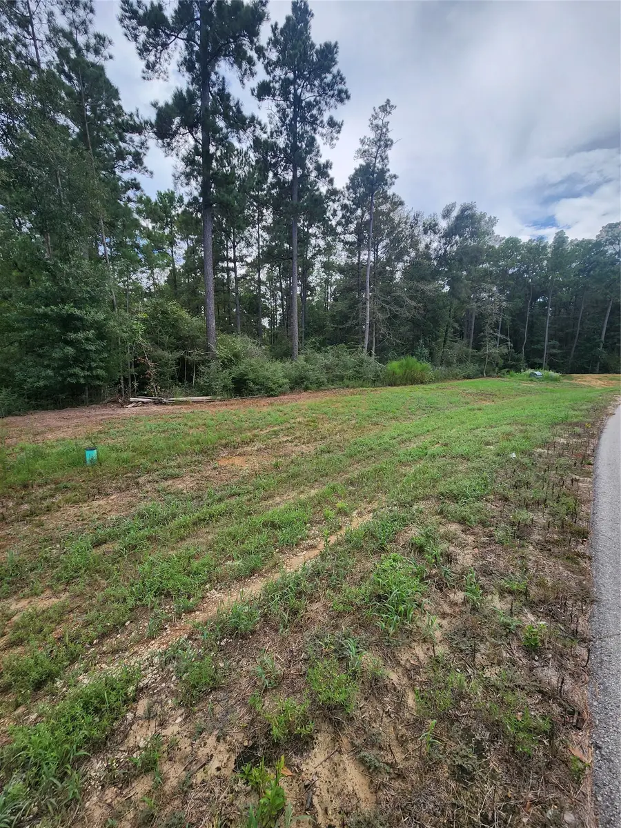 15211 Forest Grove Drive, Willis, TX 77378 - #2