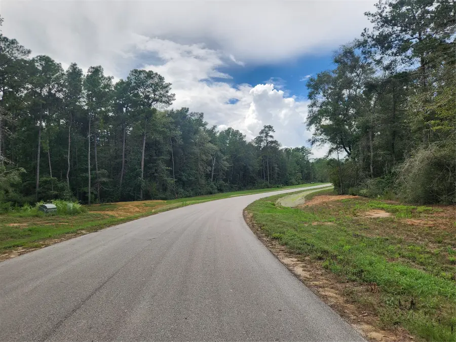 15211 Forest Grove Drive, Willis, TX 77378 - #3