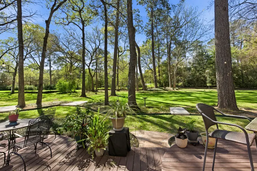 21815 Fearless Drive, Hockley, TX 77447 - #2