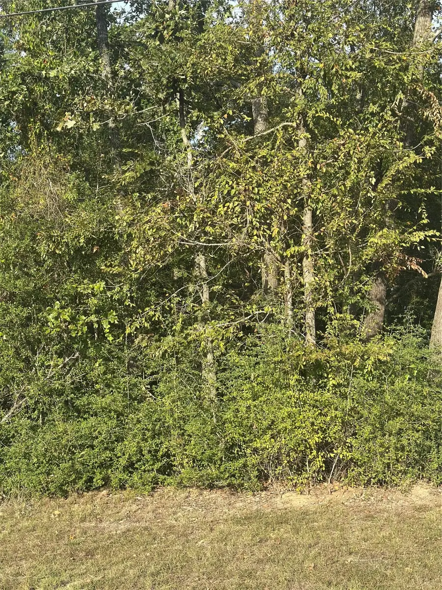 0 Magnolia Lane, Onalaska, TX 77360 - Image #2