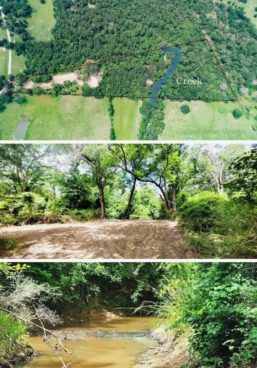 5604 County Road 364 10 Acres, Buffalo, TX 75831 - #2