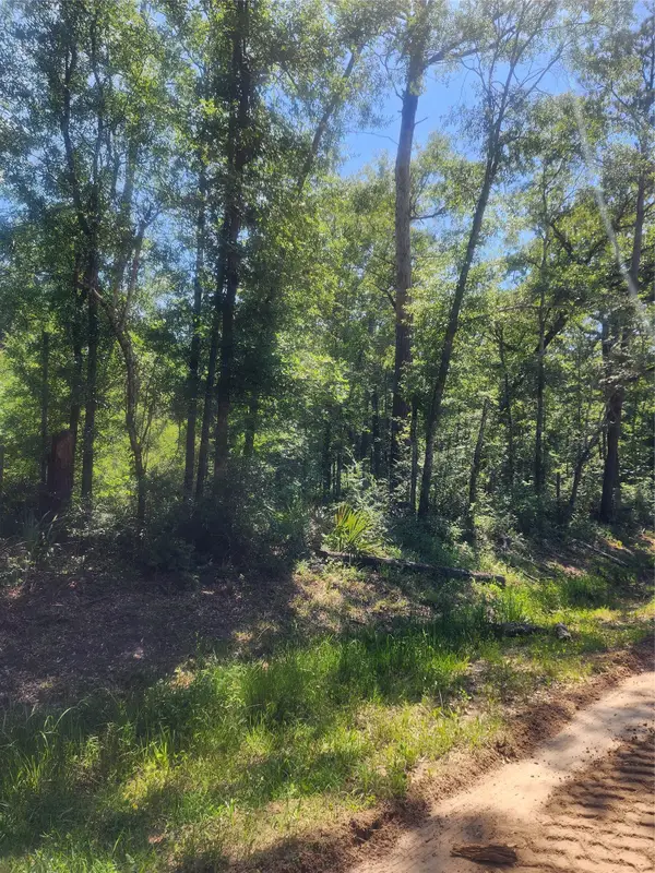 01 Cindy Lane, Shepherd, TX 77371