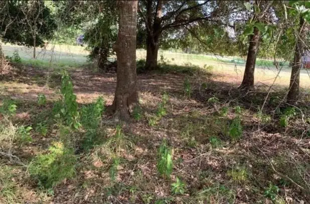 8 Wild Iris Court, Huntsville, TX 77340 - #2